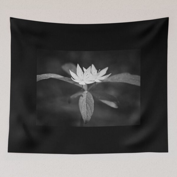 Item preview, Arctic starflower 6 bw designed and sold by Jouko Lehto Photography.