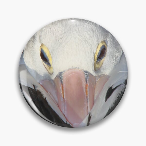 Item preview, Pelican Portrait - Preparing to Sleep designed and sold by Carole-Anne.