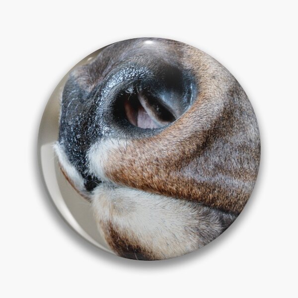 Item preview, Caribou Muzzle designed and sold by FOLK ART FUSION by heidiannemorris.