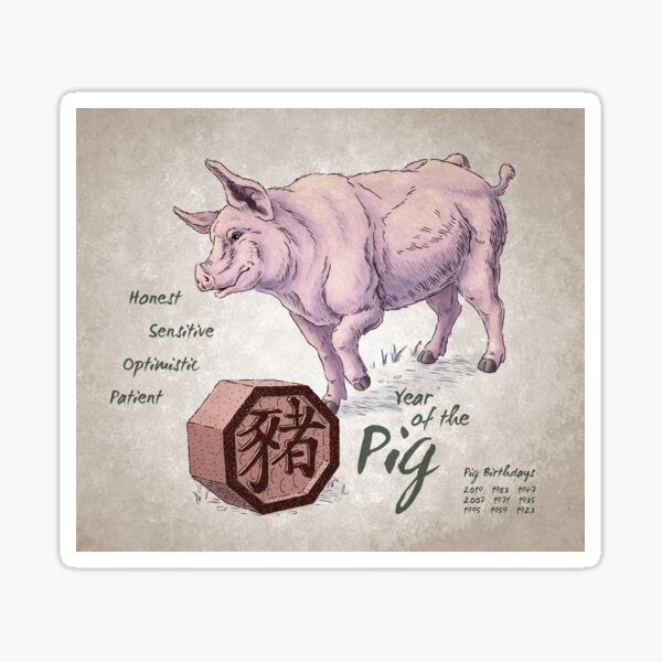 Year of the Pig Calendar (white) Sticker