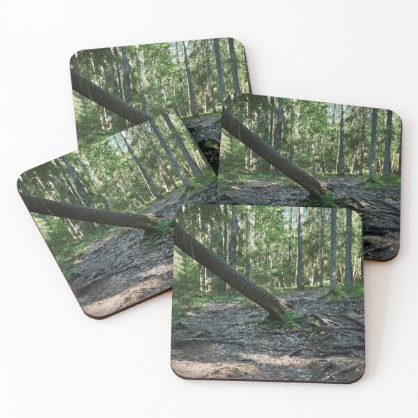 Item preview, The Overused Path with Roots. Kauppi, Tampere designed and sold by Jouko Lehto Photography.