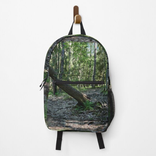 Item preview, The Overused Path with Roots. Kauppi, Tampere designed and sold by Jouko Lehto Photography.