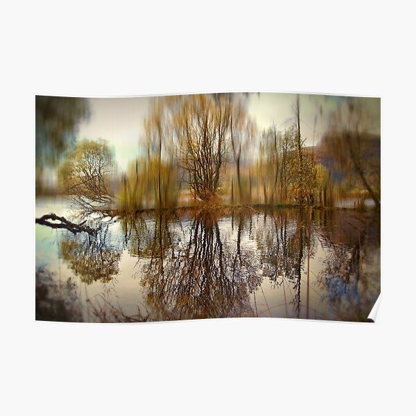 Trees on an Island Poster