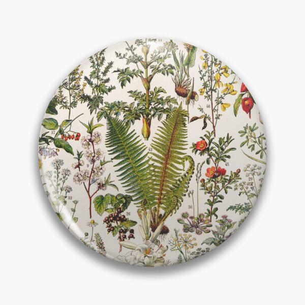 Item preview, Adolphe Millot - Plantes Medicinales B - French vintage poster designed and sold by DejaVuStudio.