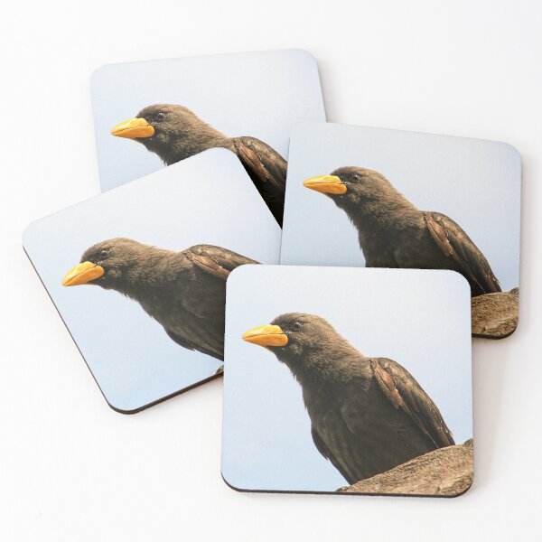 Item preview, Grossbeak starling designed and sold by KcsArt87.