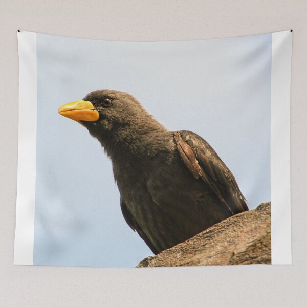 Item preview, Grossbeak starling designed and sold by KcsArt87.