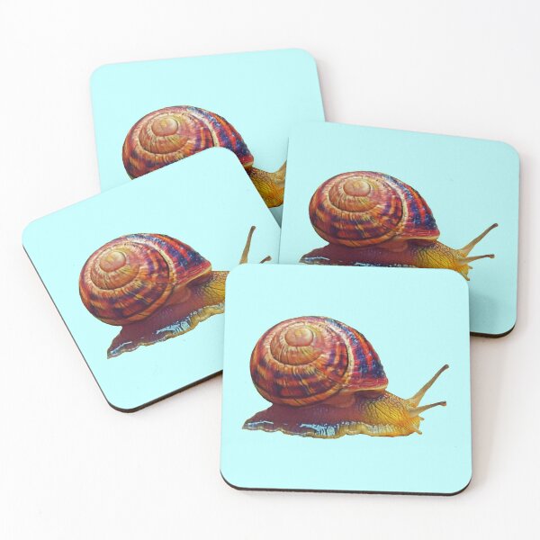 Item preview, Scrawling edible snail designed and sold by helenkaiy.