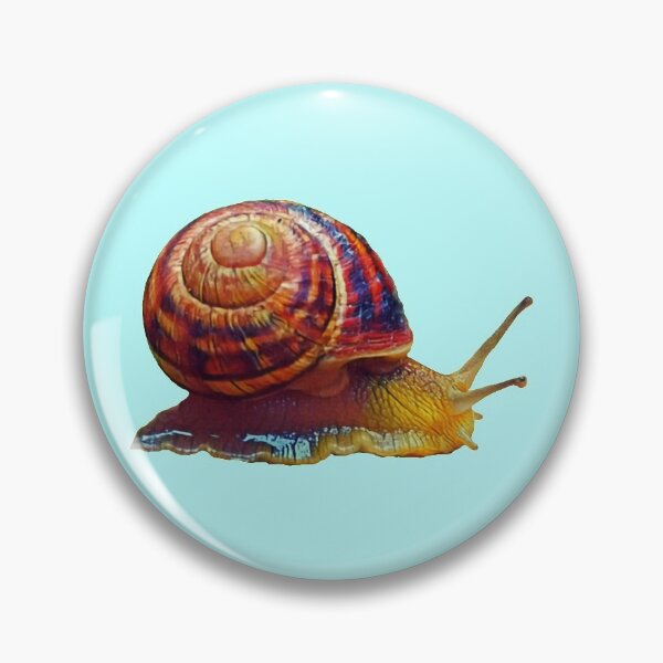Item preview, Scrawling edible snail designed and sold by helenkaiy.