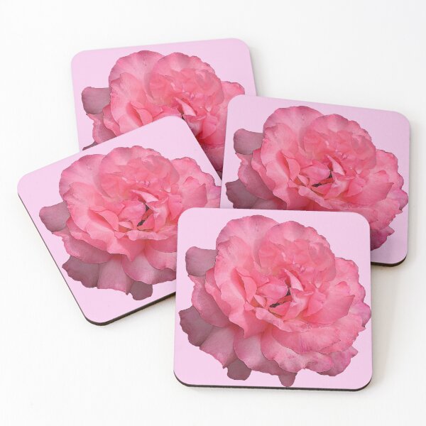 Item preview, Pink Fully Bloomed Rose  designed and sold by monica-mirt.
