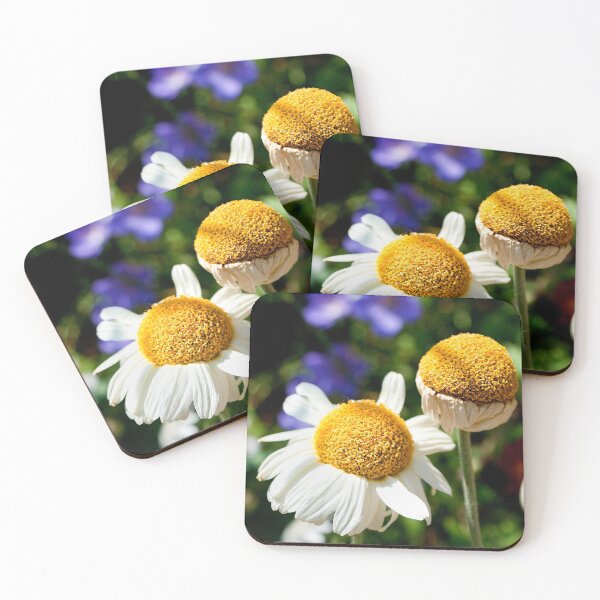 Item preview, Daisies in the afternoon sun designed and sold by FOLK ART FUSION by heidiannemorris.