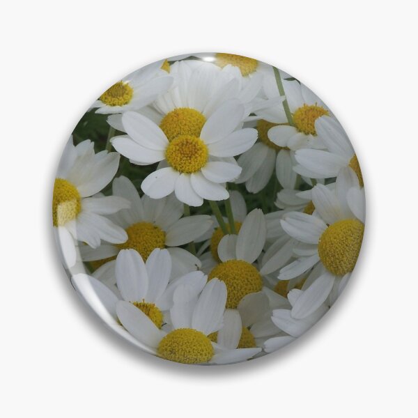 Aperçu de l'œuvre Marguerites créée et vendue par Boscastle.