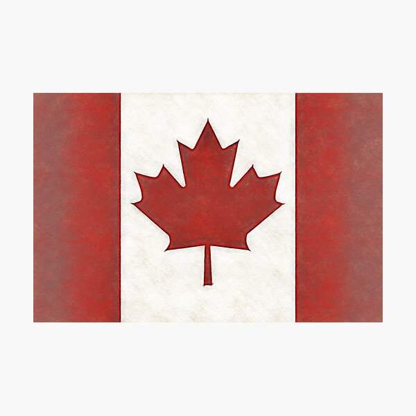 Canadian Maple Leaf Photographic Print