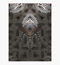 metamorphosis Photographic Print