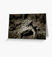 Horned Frog Greeting Card