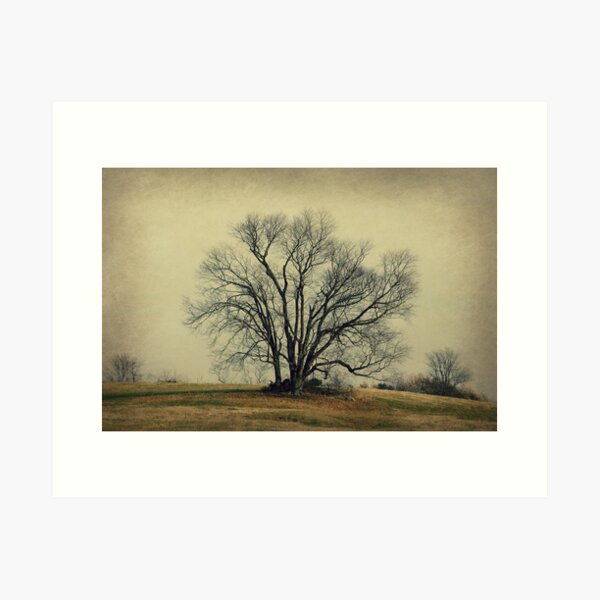 Item preview, Lone Tree designed and sold by Linda Fields.