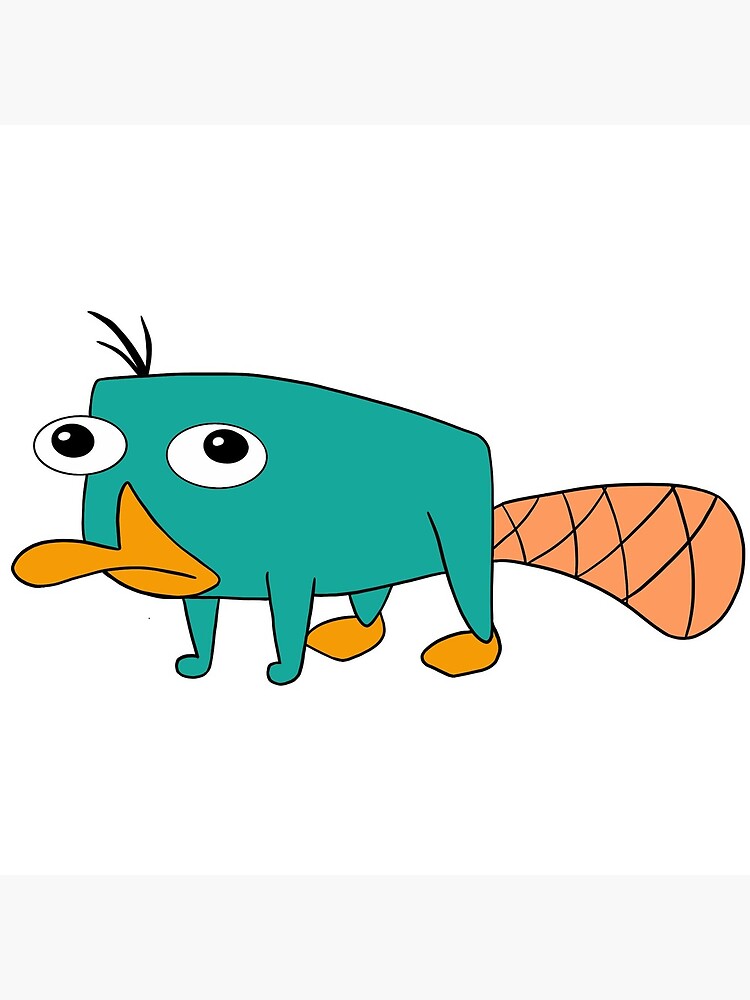 Phineas and Ferb pet Perry the Platypus  Perry the platypus, Phineas and  ferb, Phineas and ferb perry