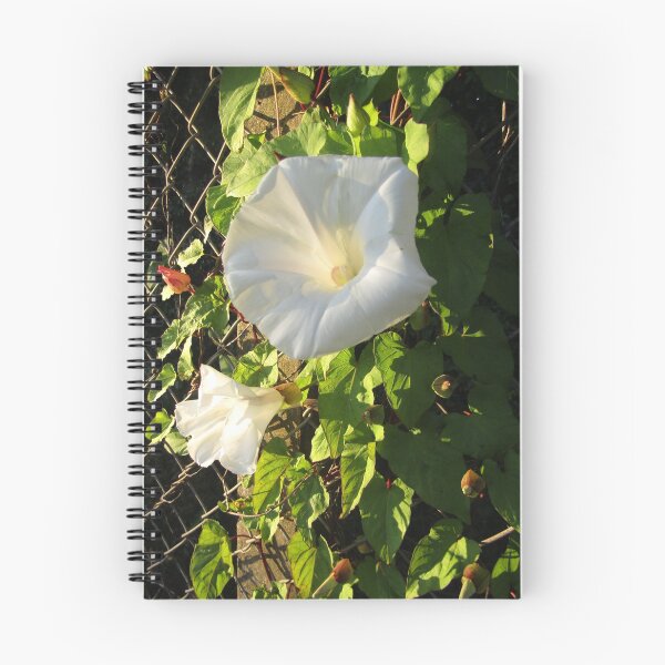 Item preview, bindweed at sunset designed and sold by joshuarainbird.