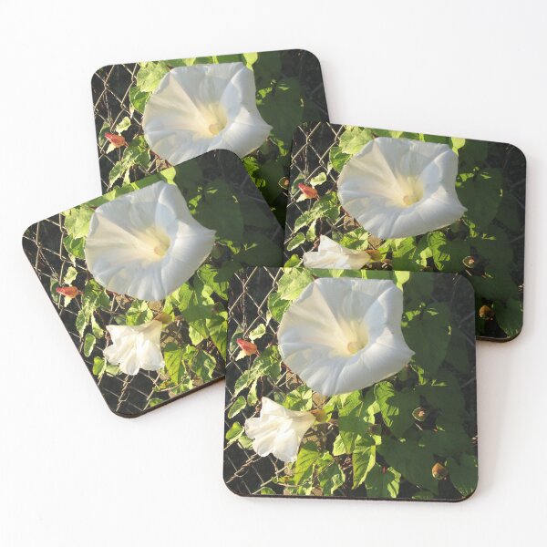 Item preview, bindweed at sunset designed and sold by joshuarainbird.