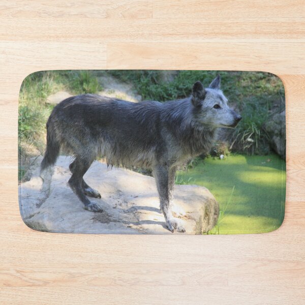 Item preview, Grey wolf in the water swamp designed and sold by EstelleRossetti.