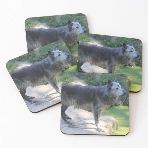 Item preview, Grey wolf in the water swamp designed and sold by EstelleRossetti.
