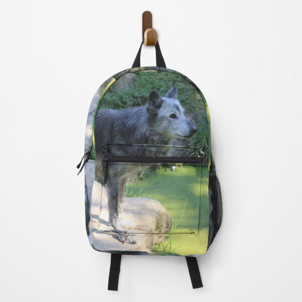 Item preview, Grey wolf in the water swamp designed and sold by EstelleRossetti.