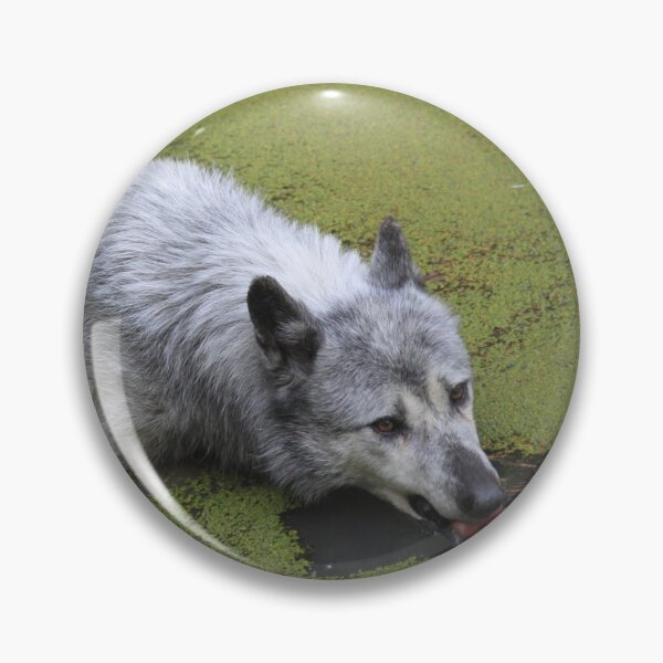 Item preview, Grey wolf in the water swamp designed and sold by EstelleRossetti.