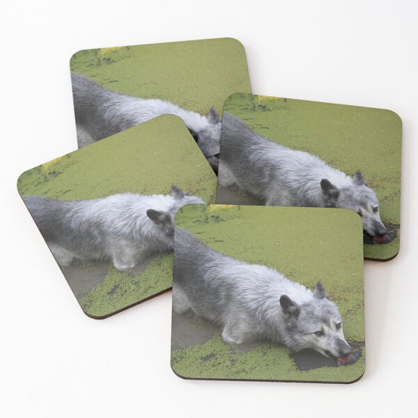 Item preview, Grey wolf in the water swamp designed and sold by EstelleRossetti.