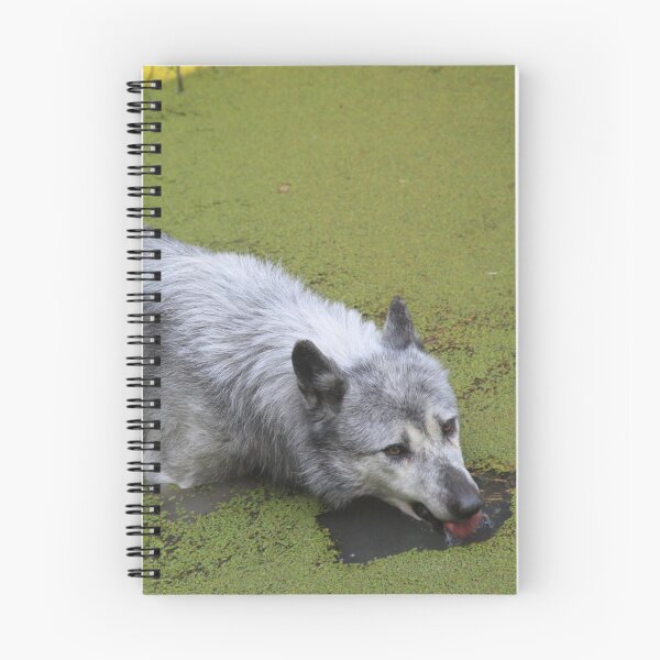 Item preview, Grey wolf in the water swamp designed and sold by EstelleRossetti.