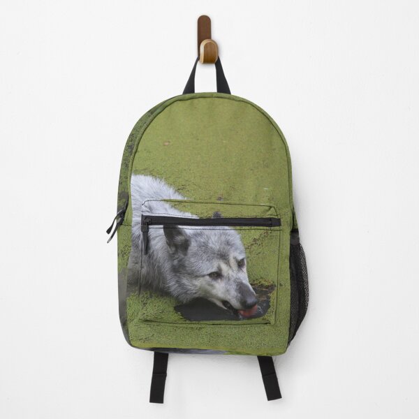 Item preview, Grey wolf in the water swamp designed and sold by EstelleRossetti.
