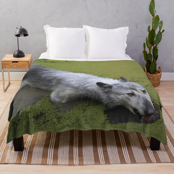 Item preview, Grey wolf in the water swamp designed and sold by EstelleRossetti.