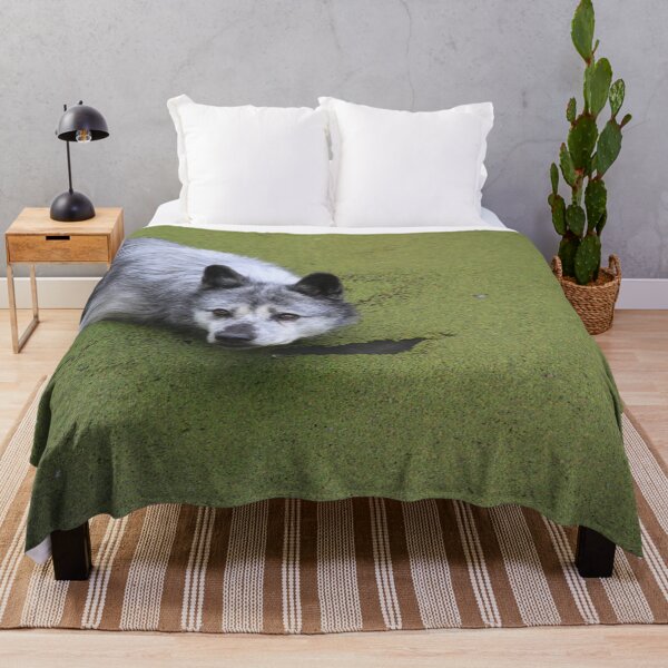 Item preview, Grey wolf in the water swamp designed and sold by EstelleRossetti.