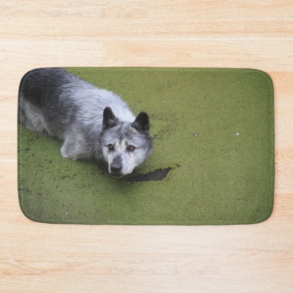 Item preview, Grey wolf in the water swamp designed and sold by EstelleRossetti.