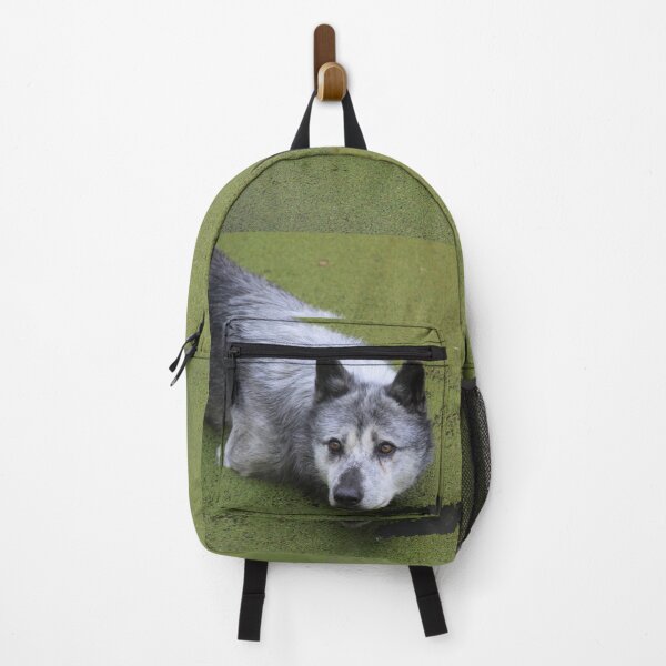 Item preview, Grey wolf in the water swamp designed and sold by EstelleRossetti.