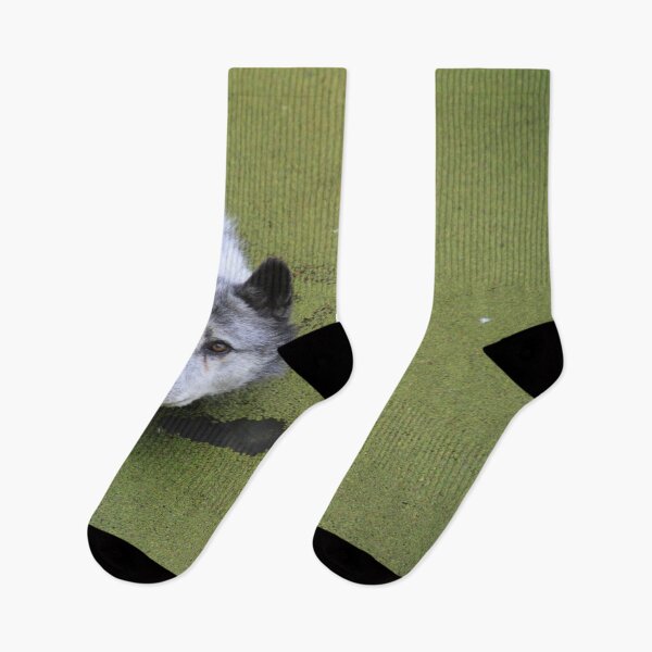 Item preview, Grey wolf in the water swamp designed and sold by EstelleRossetti.