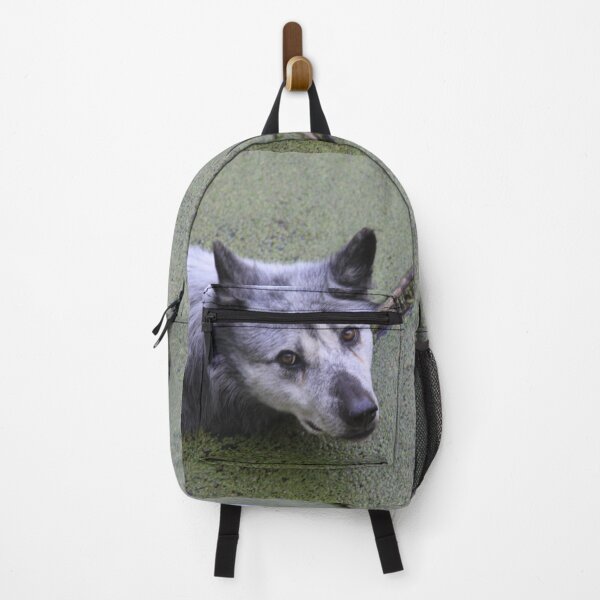 Item preview, Grey wolf in the water swamp designed and sold by EstelleRossetti.