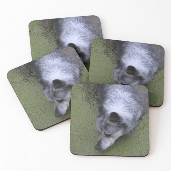 Item preview, Grey wolf in water swamp designed and sold by EstelleRossetti.