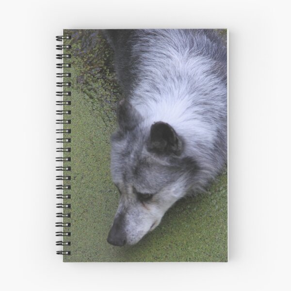 Item preview, Grey wolf in water swamp designed and sold by EstelleRossetti.