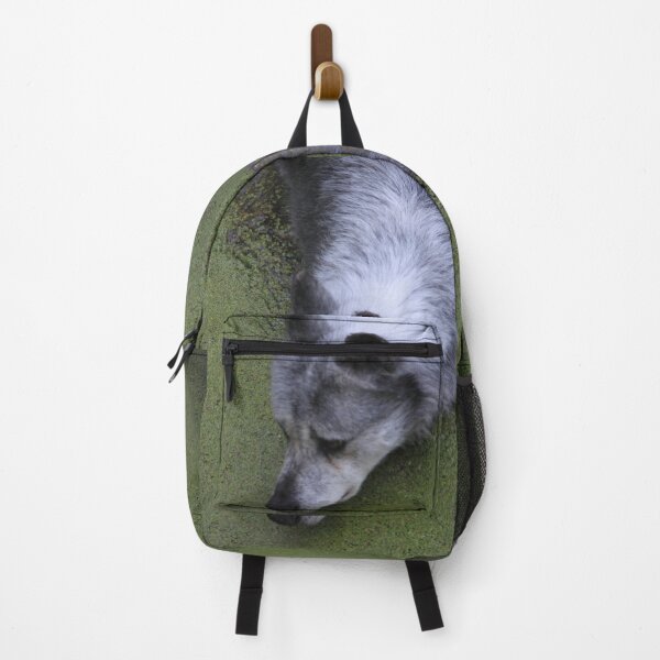 Item preview, Grey wolf in water swamp designed and sold by EstelleRossetti.