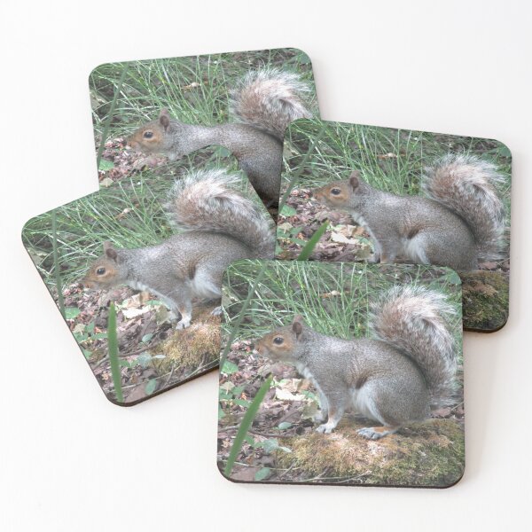 Item preview, Grey squirrel designed and sold by joshuarainbird.