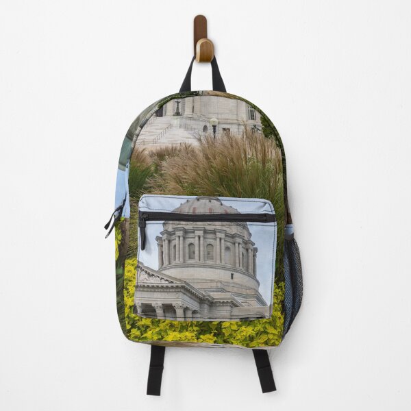 Item preview, Missouri Capitol And Fountain designed and sold by mljdwhite.