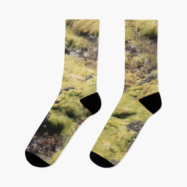 Item preview, Saleccia beach from Cap Corsica designed and sold by EstelleRossetti.