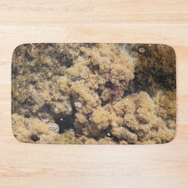 Item preview, Saleccia beach from Cap Corsica designed and sold by EstelleRossetti.