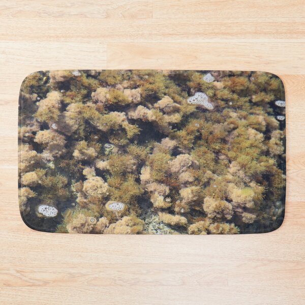 Item preview, Saleccia beach from Cap Corsica designed and sold by EstelleRossetti.