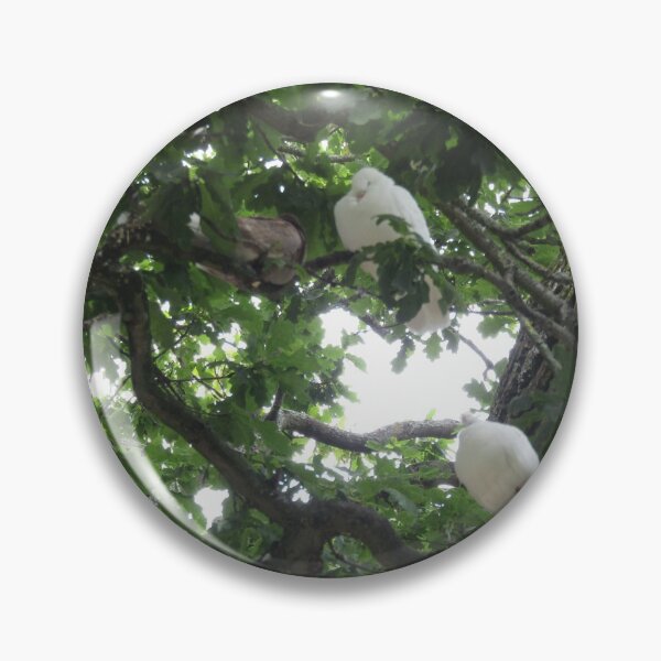 Item preview, doves in a tree designed and sold by joshuarainbird.