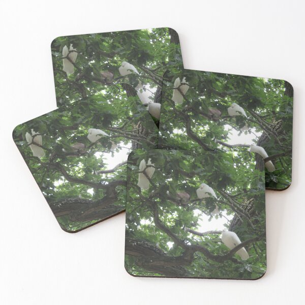 Item preview, doves in a tree designed and sold by joshuarainbird.