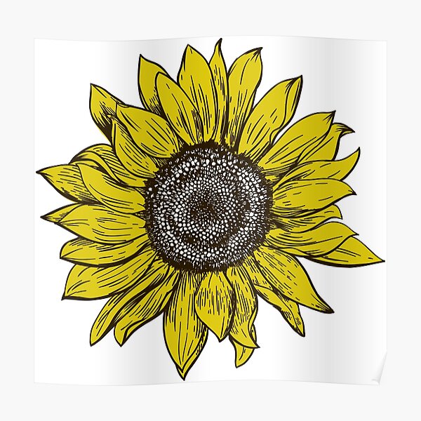 Decoración: Silueta De Girasol | Redbubble