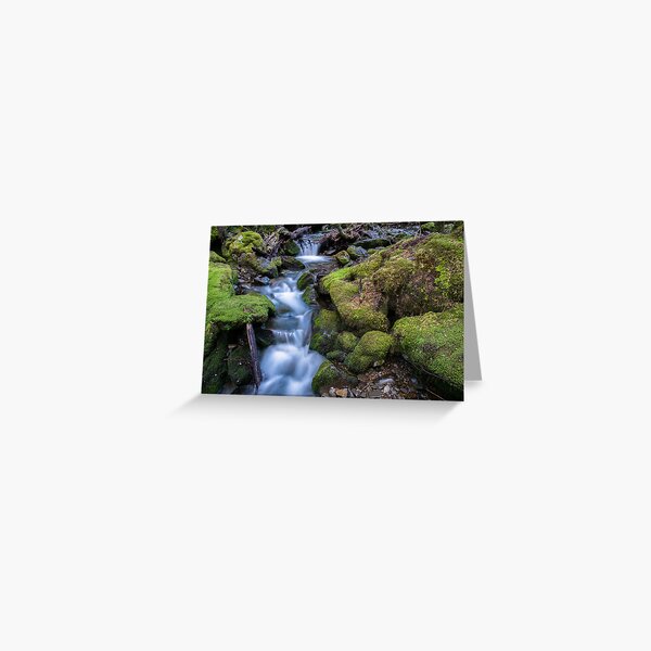 Little Fisher River, Tasmania Greeting Card
