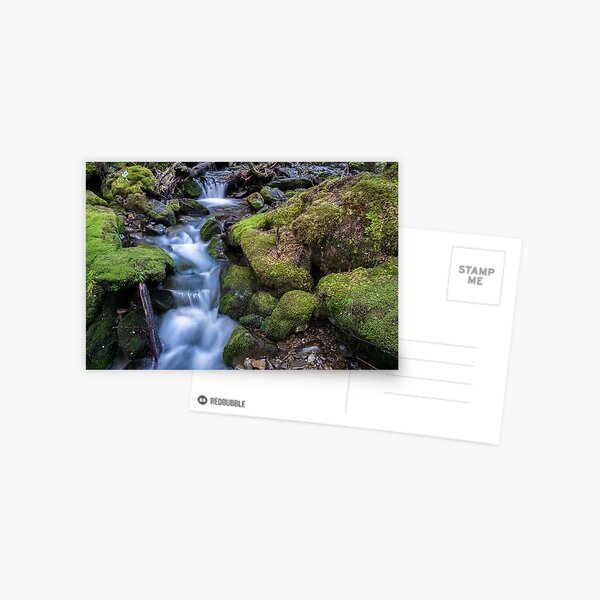 Little Fisher River, Tasmania Postcard
