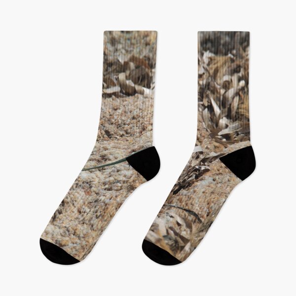 Item preview, Saleccia beach from Cap Corsica designed and sold by EstelleRossetti.