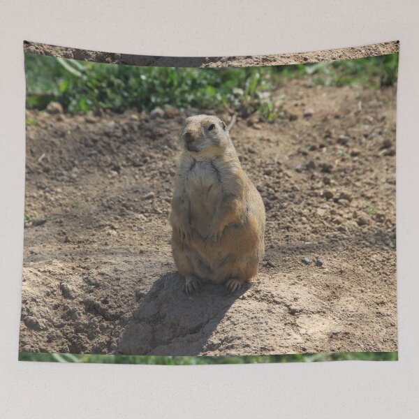 Item preview, Groundhog standing on its feet designed and sold by EstelleRossetti.
